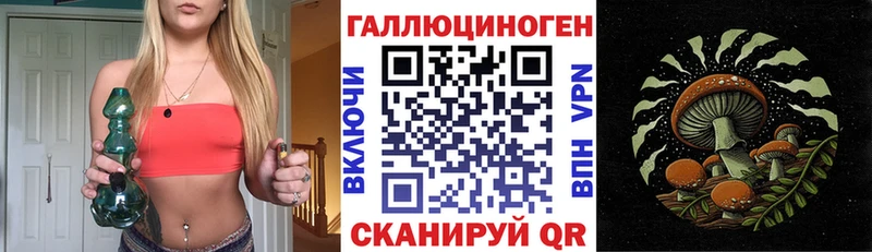 Псилоцибиновые грибы прущие грибы  Чегем 